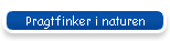 Pragtfinker i naturen