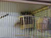 skadefinke0.jpg (70535 byte)