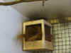 skadefinke2.jpg (46829 byte)