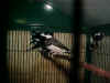MVC-003F.JPG (59731 byte)