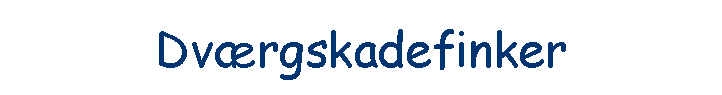 Dv�rgskadefinker