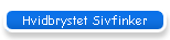 Hvidbrystet Sivfinker