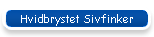 Hvidbrystet Sivfinker