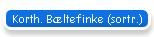 Korth. B�ltefinke (sortr.)