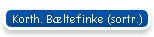 Korth. B�ltefinke (sortr.)