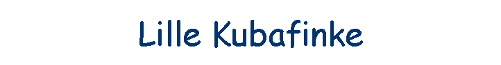 Lille Kubafinke