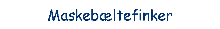 Maskeb�ltefinker