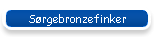 S�rgebronzefinker