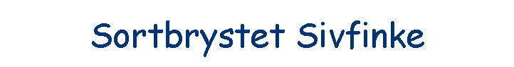 Sortbrystet Sivfinke