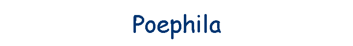Poephila