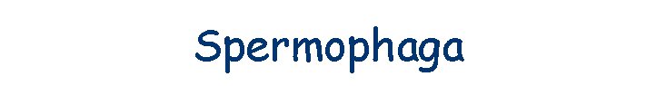 Spermophaga