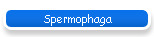 Spermophaga